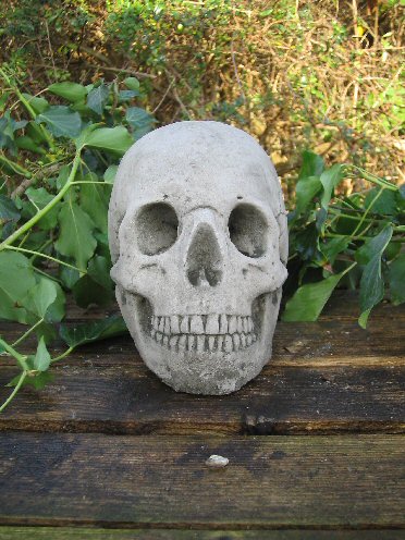 KM50 Skull KM50 Skull